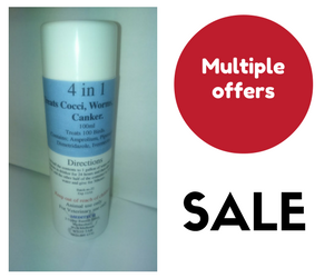Latest Offers